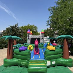 L'ile aux dragons